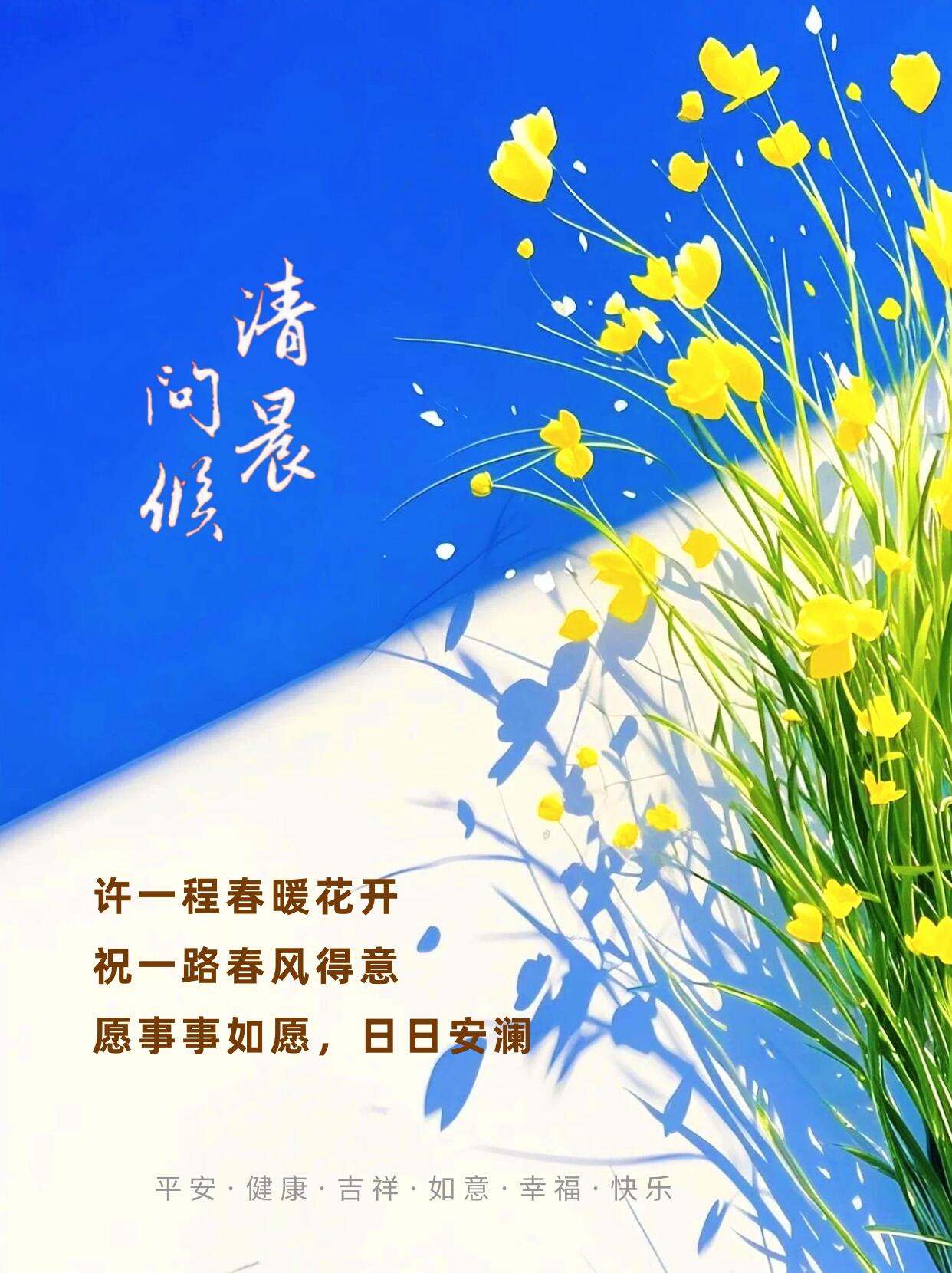 梦之希望梦之希望，追寻生命中的璀璨光芒