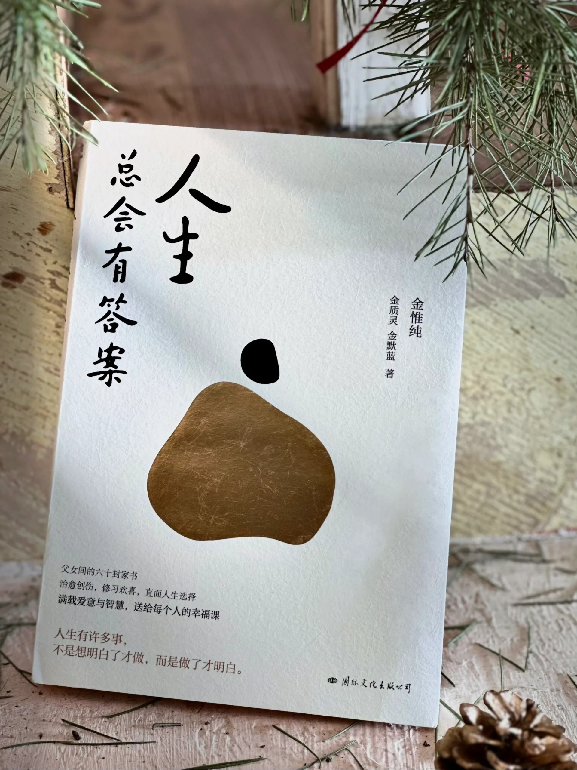 老妇人plus60，岁月赋予的魅力与智慧-第3张图片