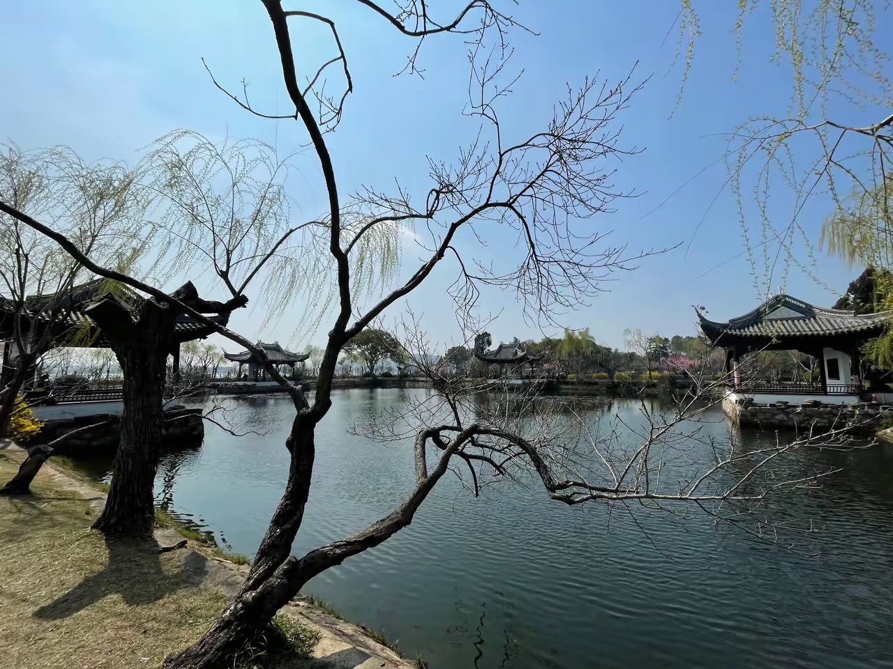 探索自然之美——嫩、搡、榛的奇妙世界-第2张图片