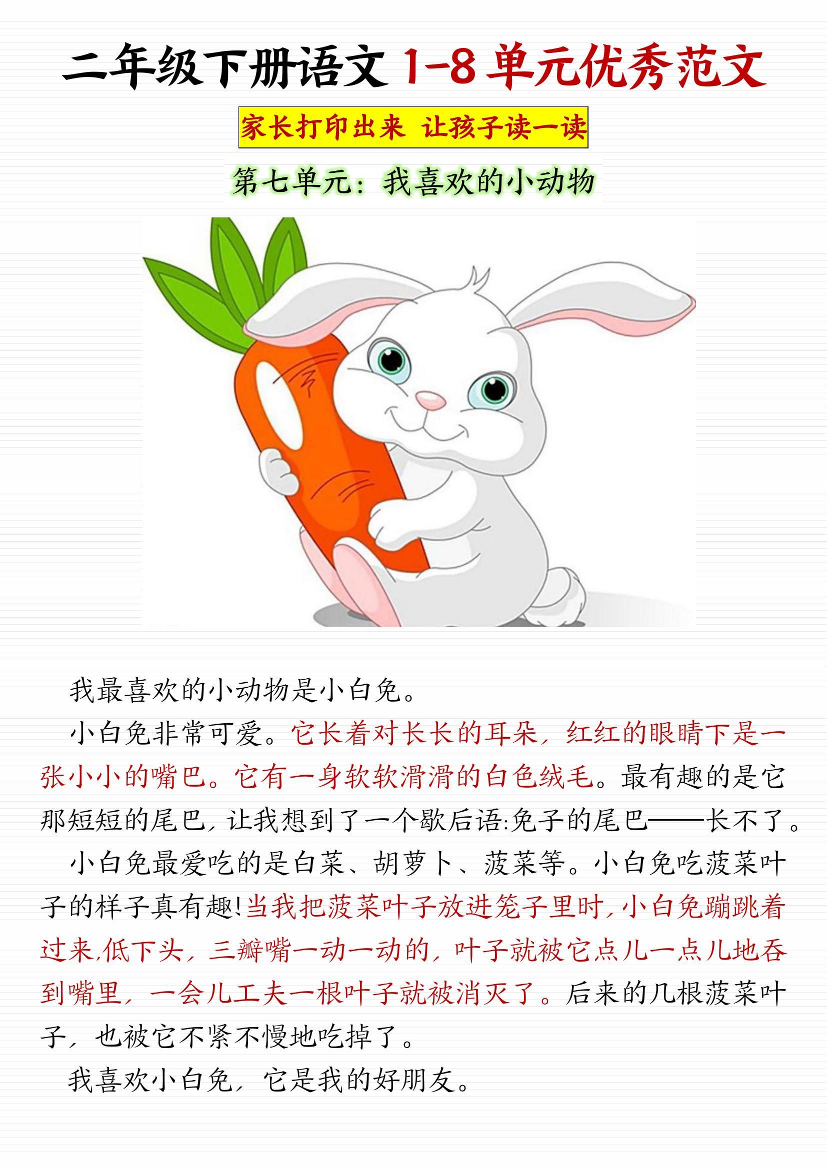 老师你的兔子好软水好多直老师，你的课堂与软水之趣-第2张图片