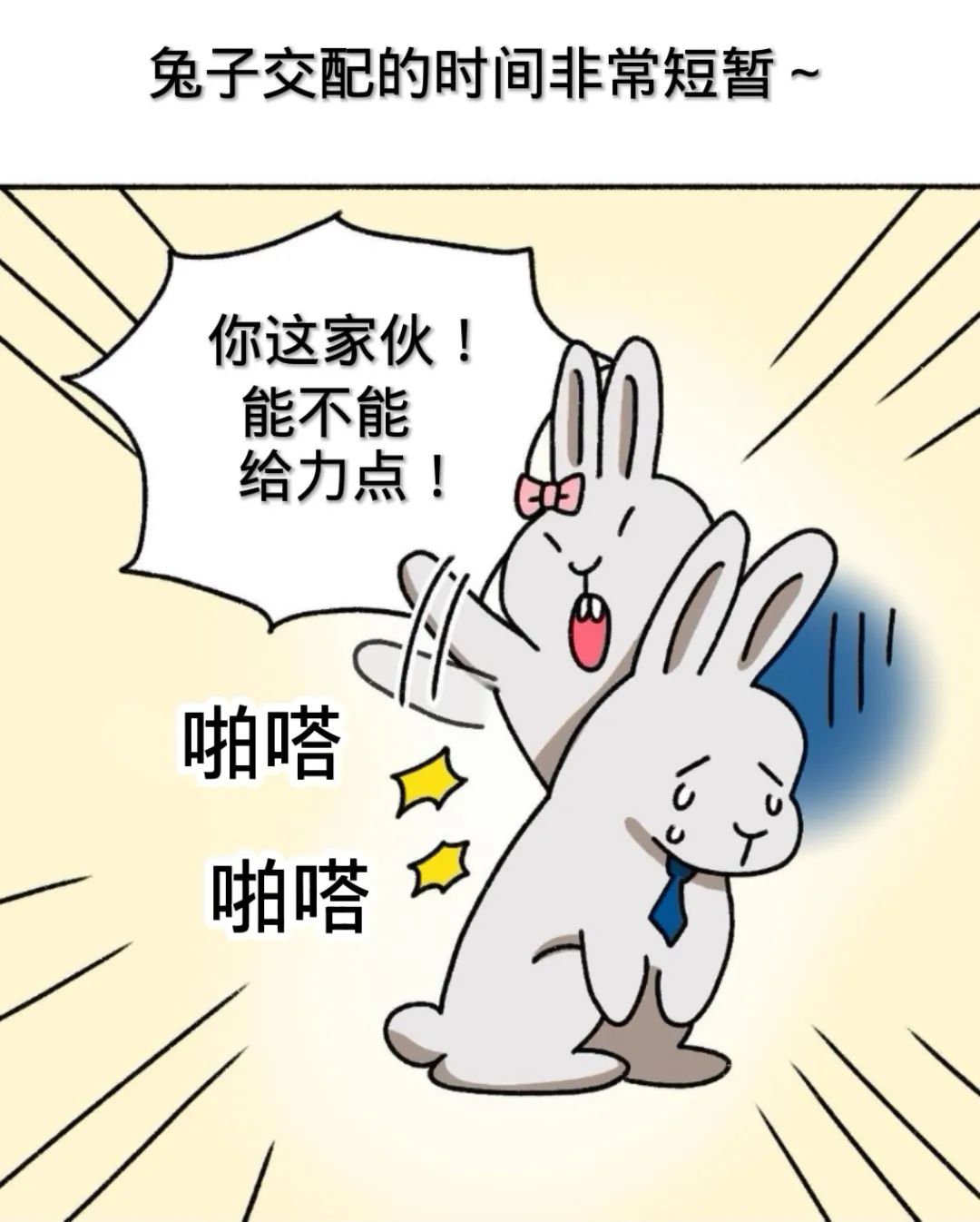 抓住貂蝉的两只大兔子视频播放探索网络奇趣，解读抓住貂蝉的两只大兔子视频现象-第3张图片