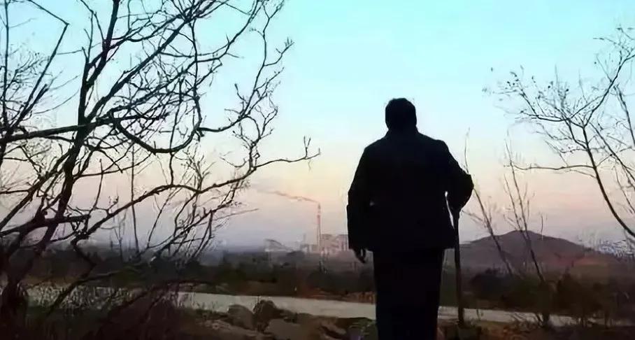 父亲缓慢而坚定地进入视频父亲的力量与大豆行情网的深度解析-第3张图片