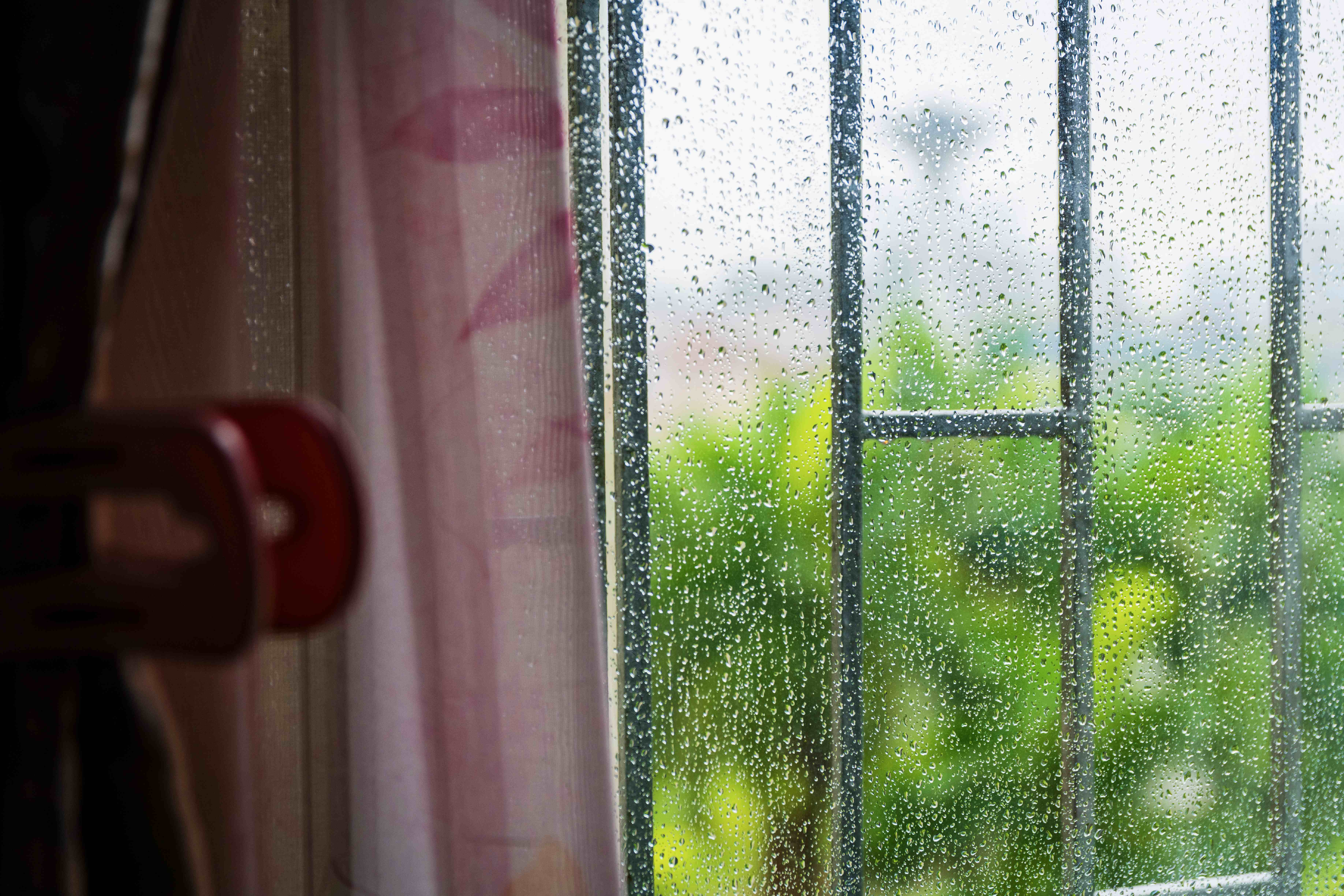 雨后故事图片的美丽瞬间
