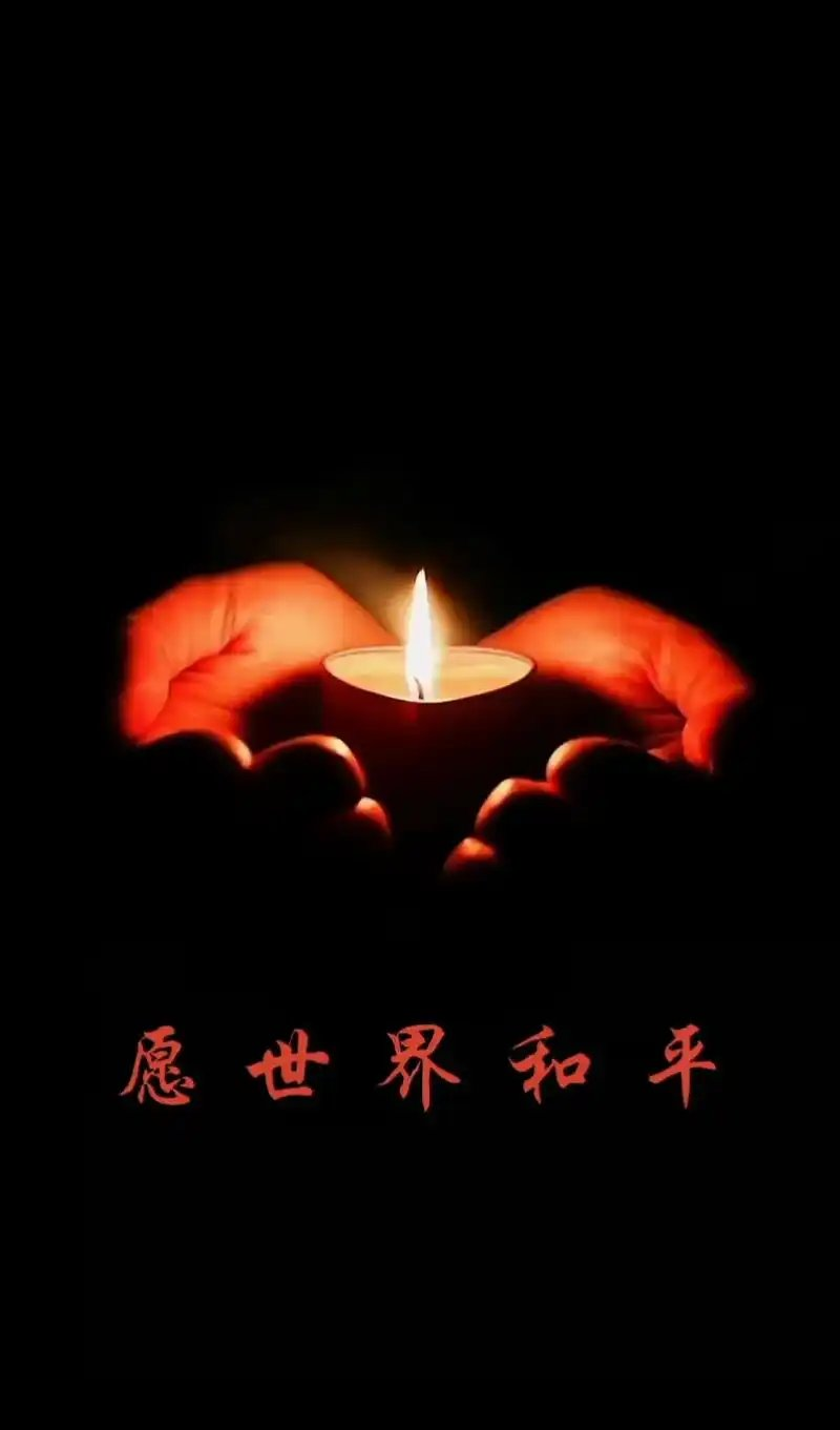 光明之翼，翱翔于希望与梦想的天空-第1张图片