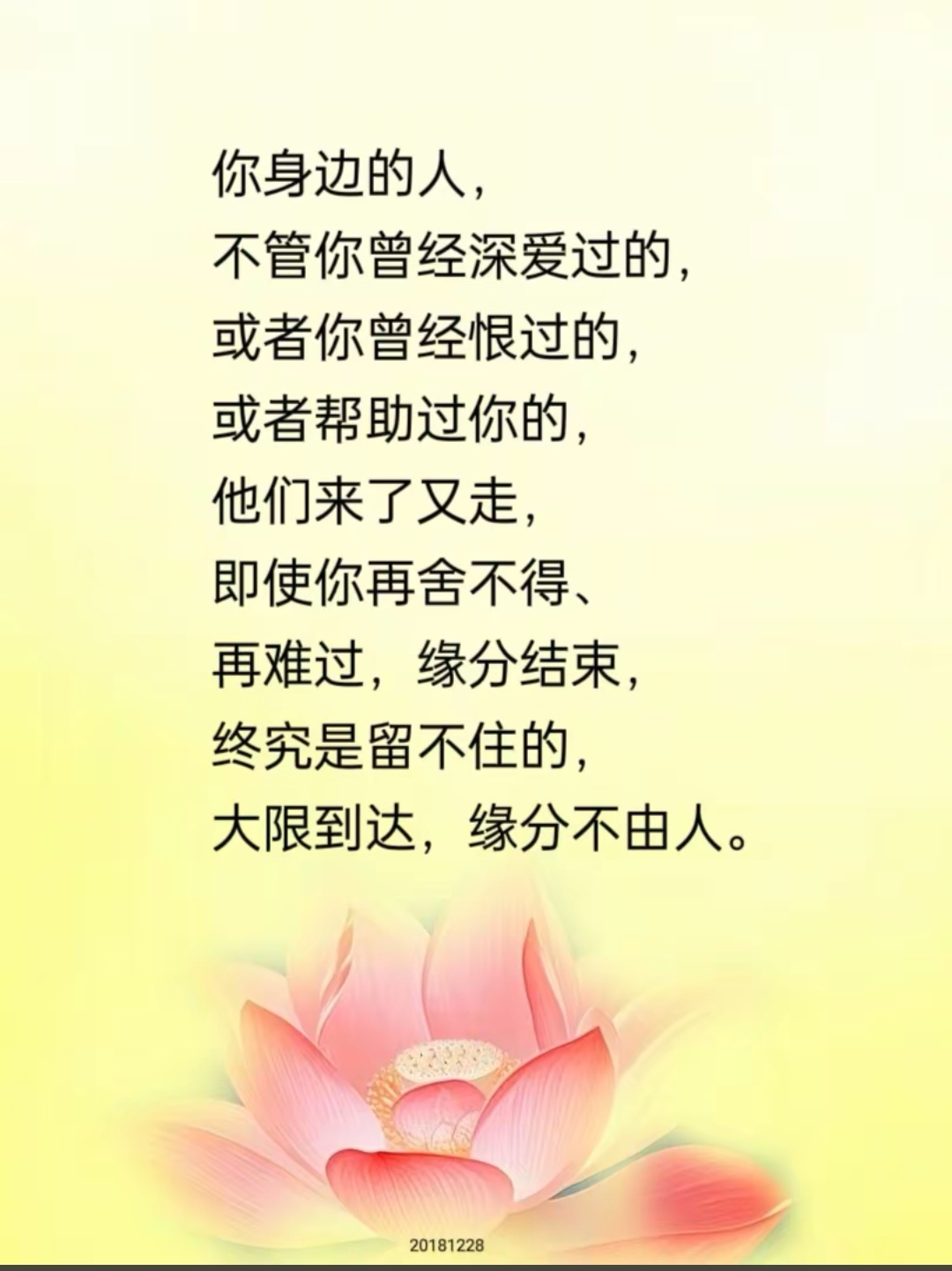 刚开始一深一浅后来小说人生的路，刚开始一深一浅后来