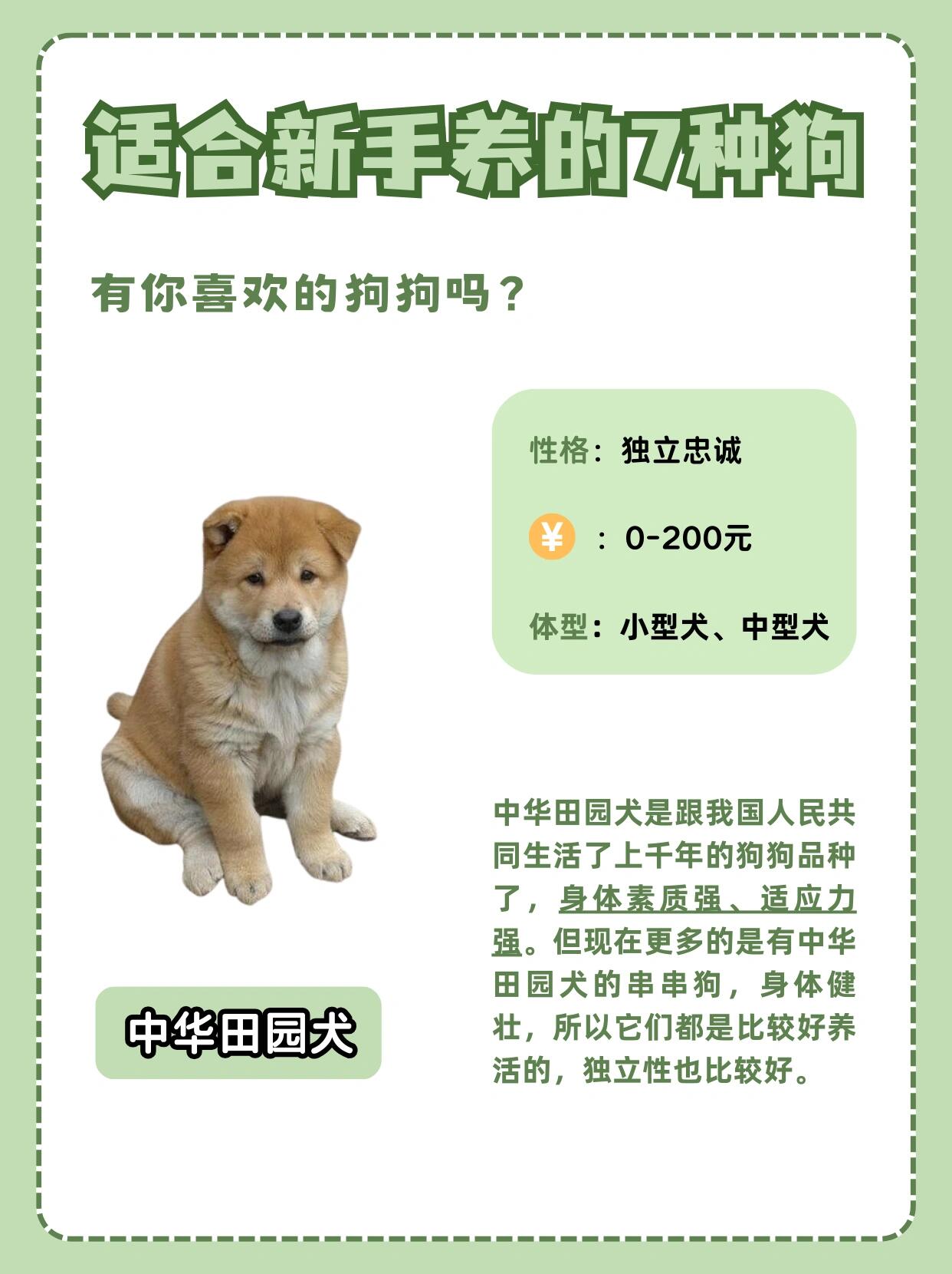 狗狗猛涨精肉，大壮市场占有率与养宠新趋势