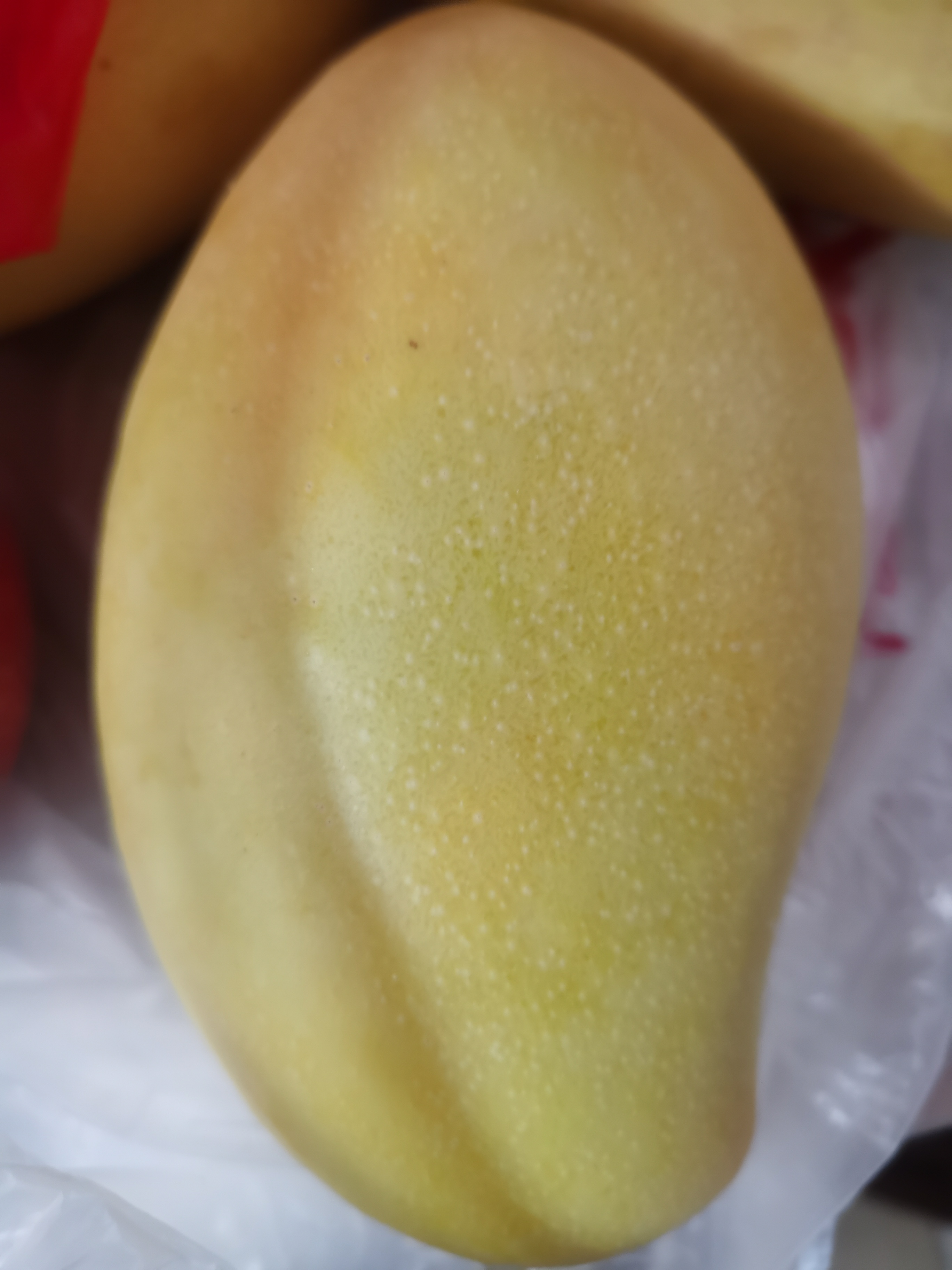 国产四线区芒果，品质与风味的独特魅力