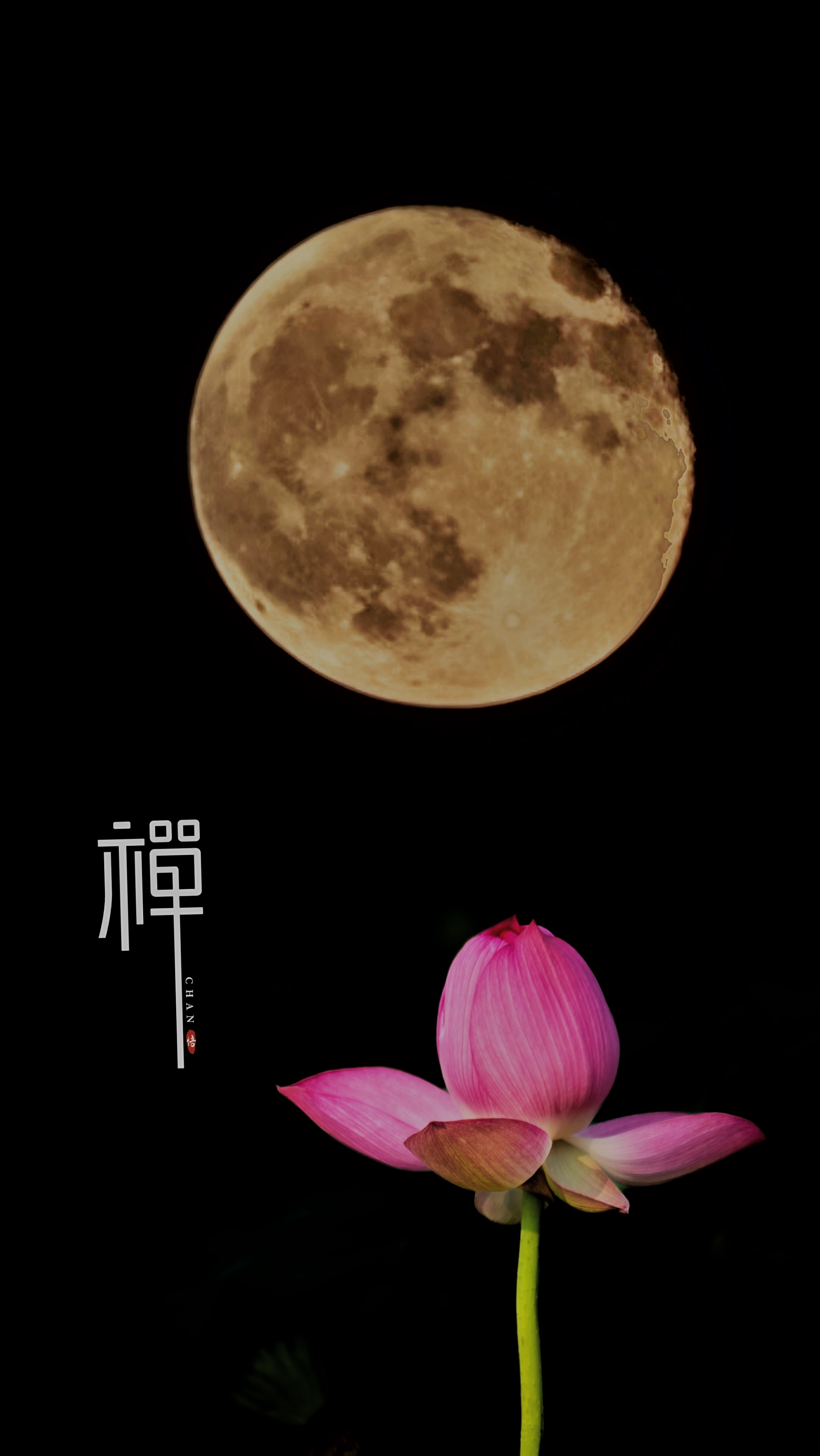 十五的月亮十六圆十五的月亮十六圆，月夜之美的独特诠释