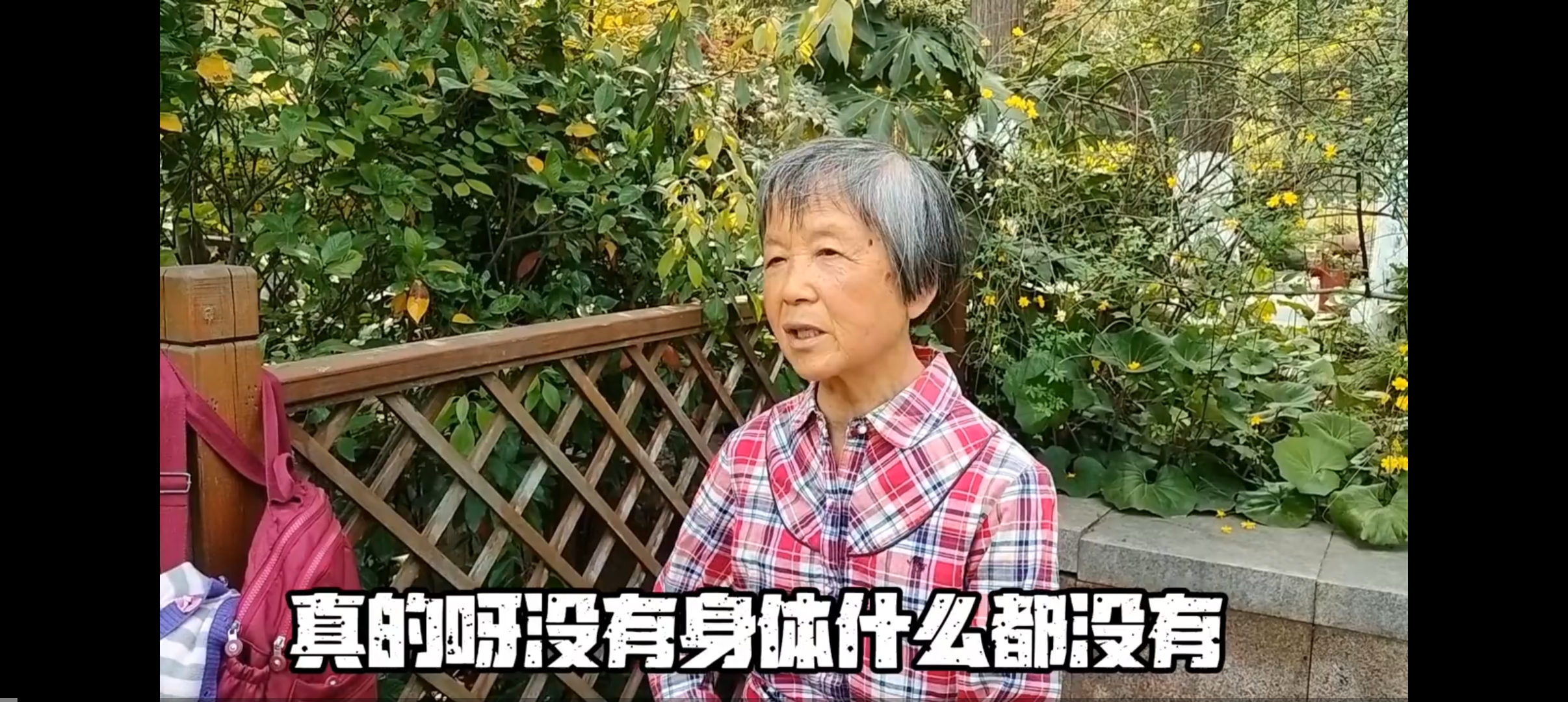 b站老阿姨是谁老阿姨与B站肉片——网络文化现象的探讨