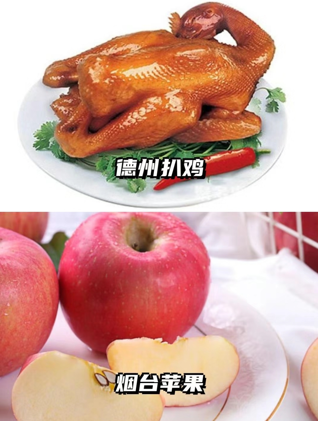 探索未知的诱惑——体验独特的扇贝风味之旅