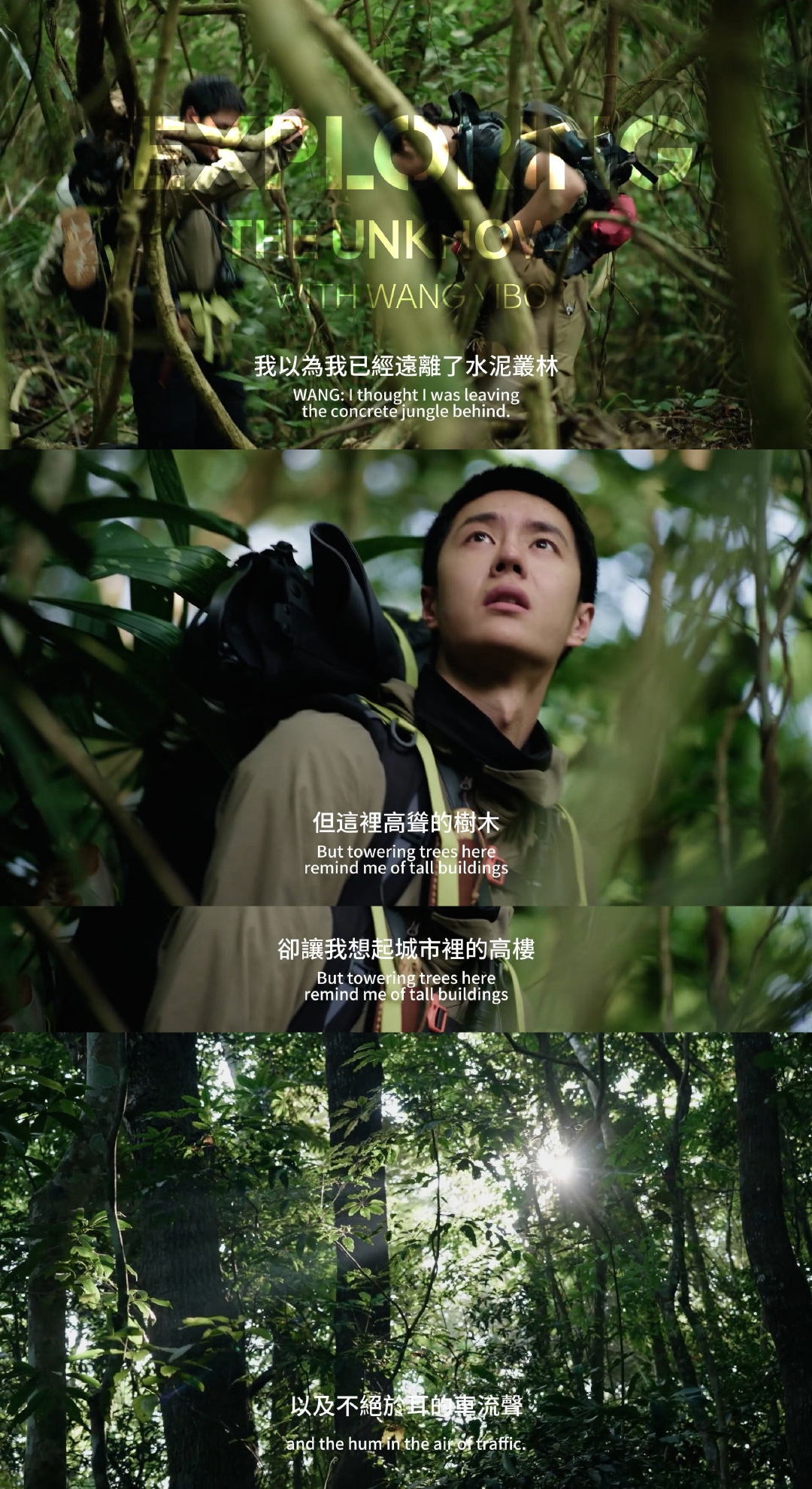 一个人免费高清视频在线观看免费高清视频在线观看，探索与享受的全新体验-第1张图片
