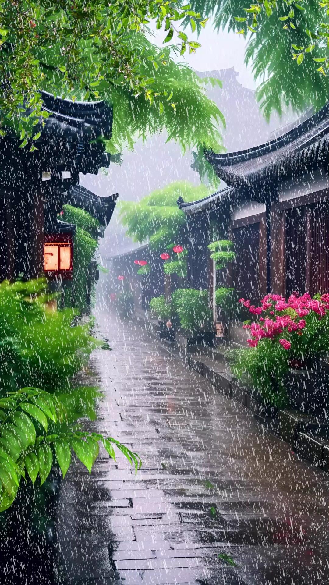 忘忧草研究所，探索心灵之秘