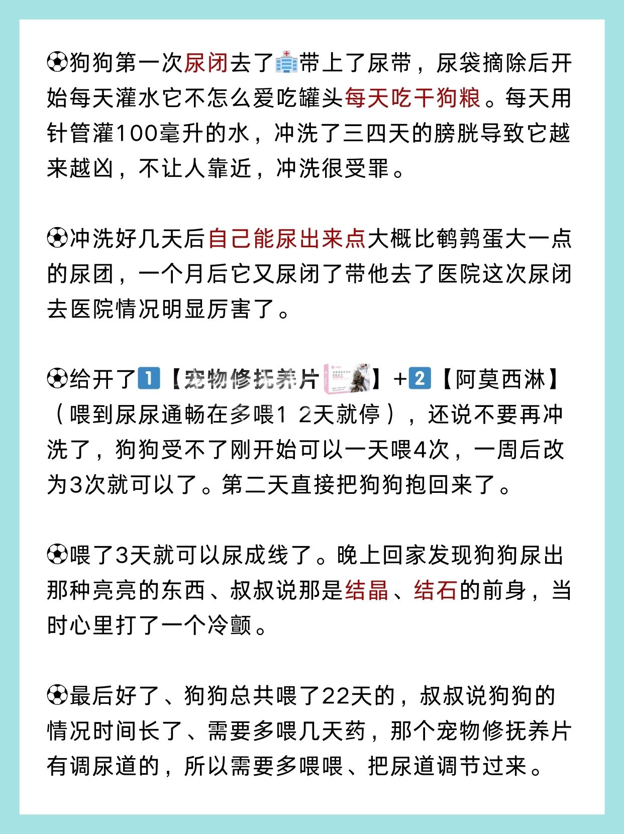 主人尿在肚子里不能流出来主人，肚子里的秘密——无法流出的尿液