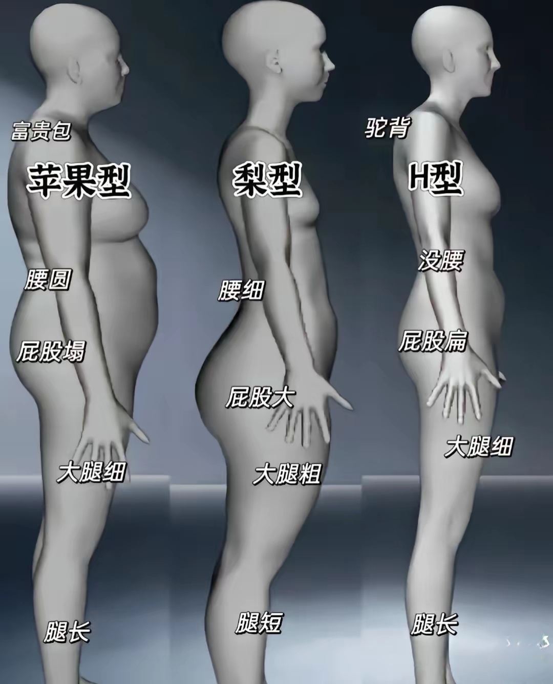 四个屁股是什么意思四个大白屁股的独特魅力-第2张图片