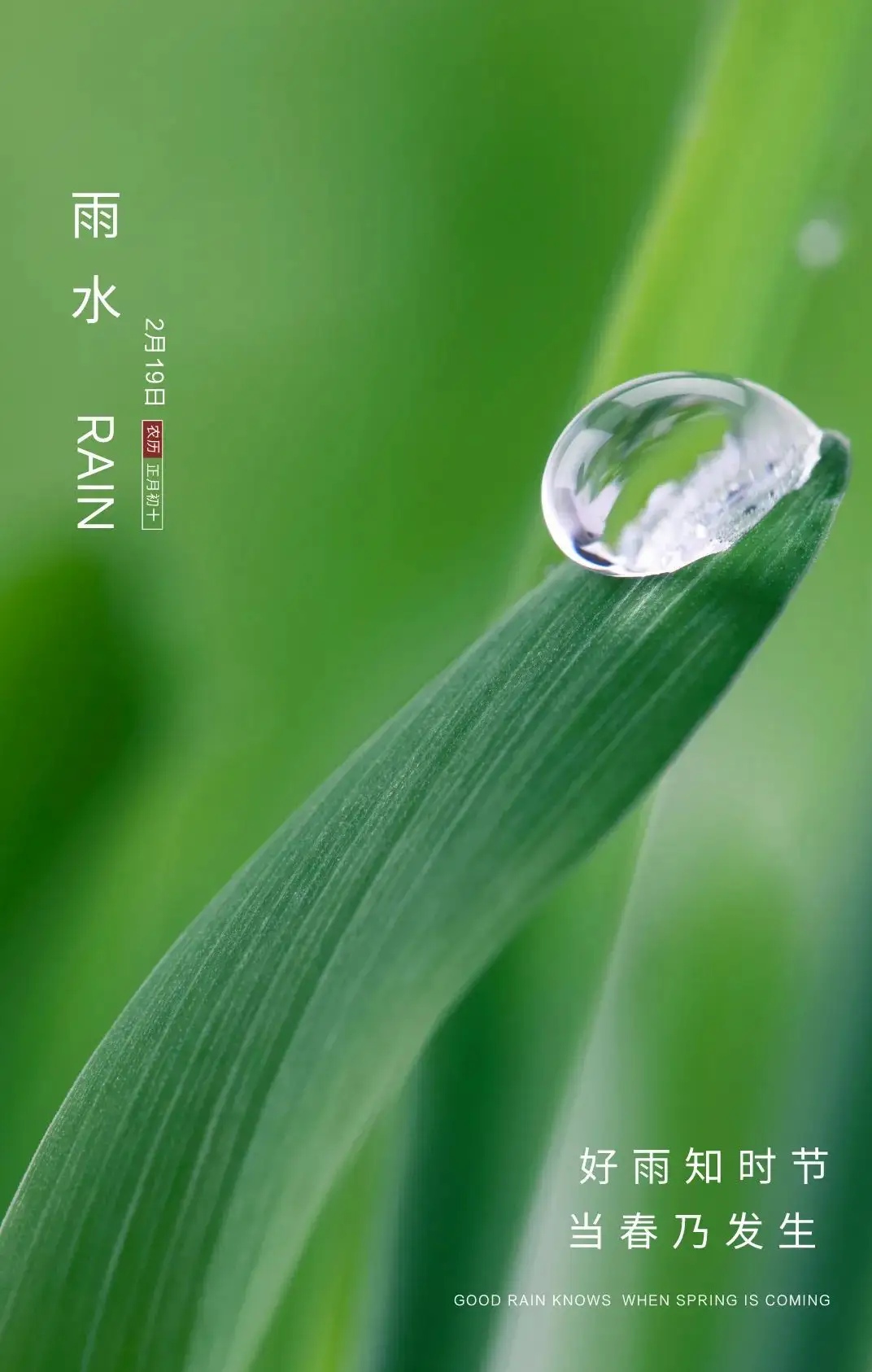 填得很满的春雨之答-第2张图片