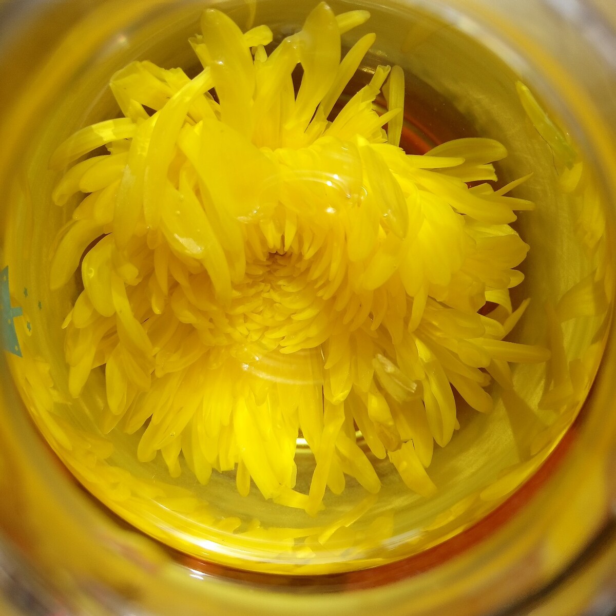 惩罚往受的菊花塞生姜惩罚背后的深意，菊花与生姜的交织-第3张图片