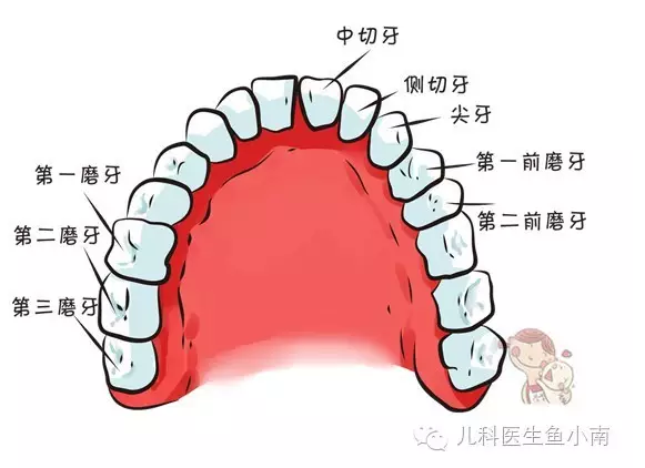 小宝宝怎么塞进去的宝宝成长之路，如何让宝宝自己塞进去别掉出来-第2张图片