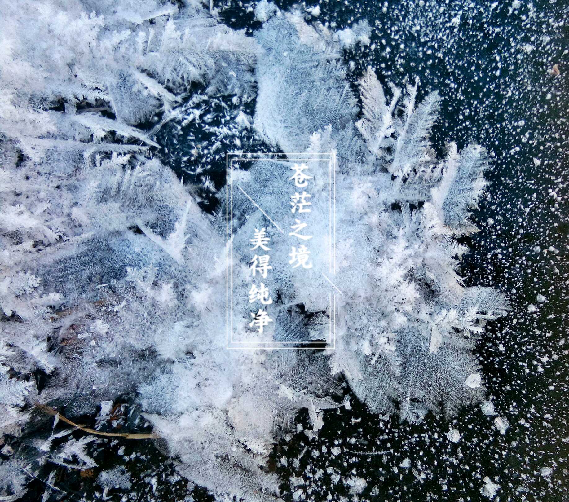 苍茫之境美得纯净苍茫之境的探索与感悟-第3张图片