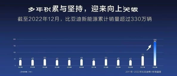 探索91精选国产的魅力与价值-第1张图片