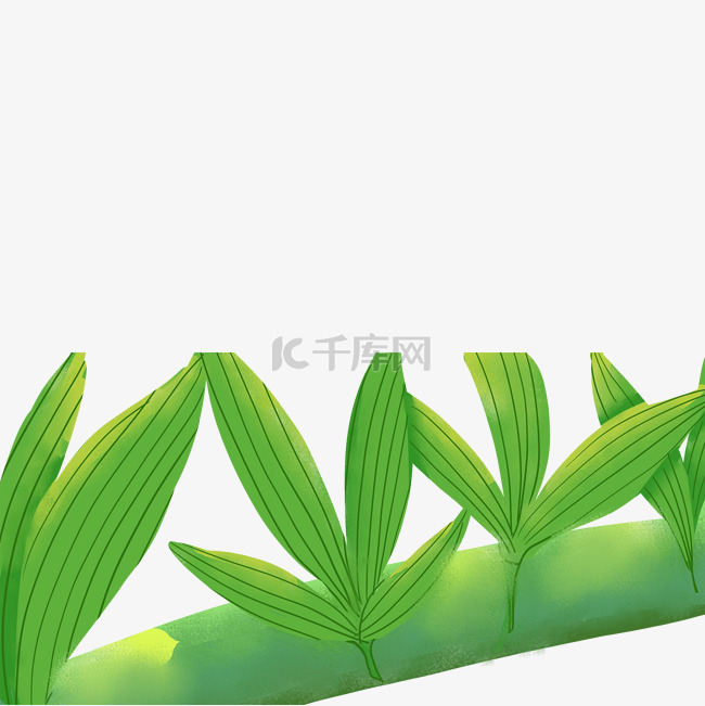 小草在线观看播放，探索绿色生态与网络科技的完美结合