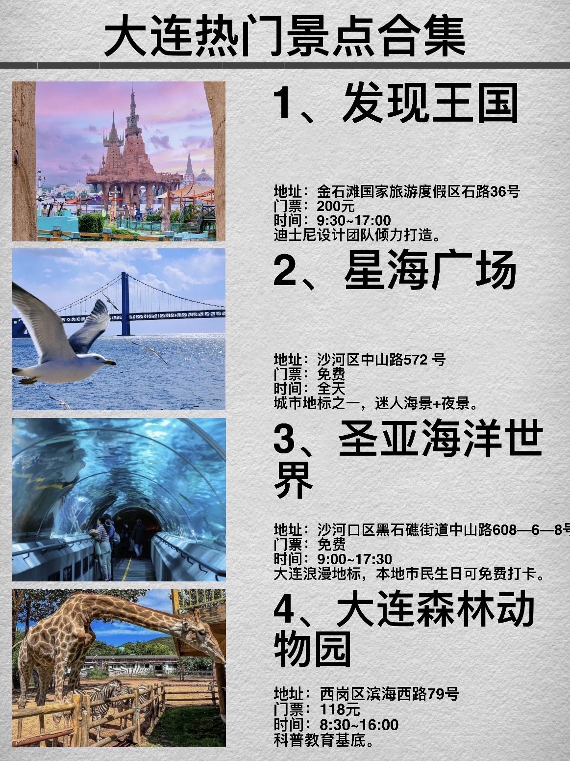 www.waga探索www.waga的魅力世界