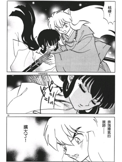犬夜叉漫画，经典之作的下载指南-第2张图片