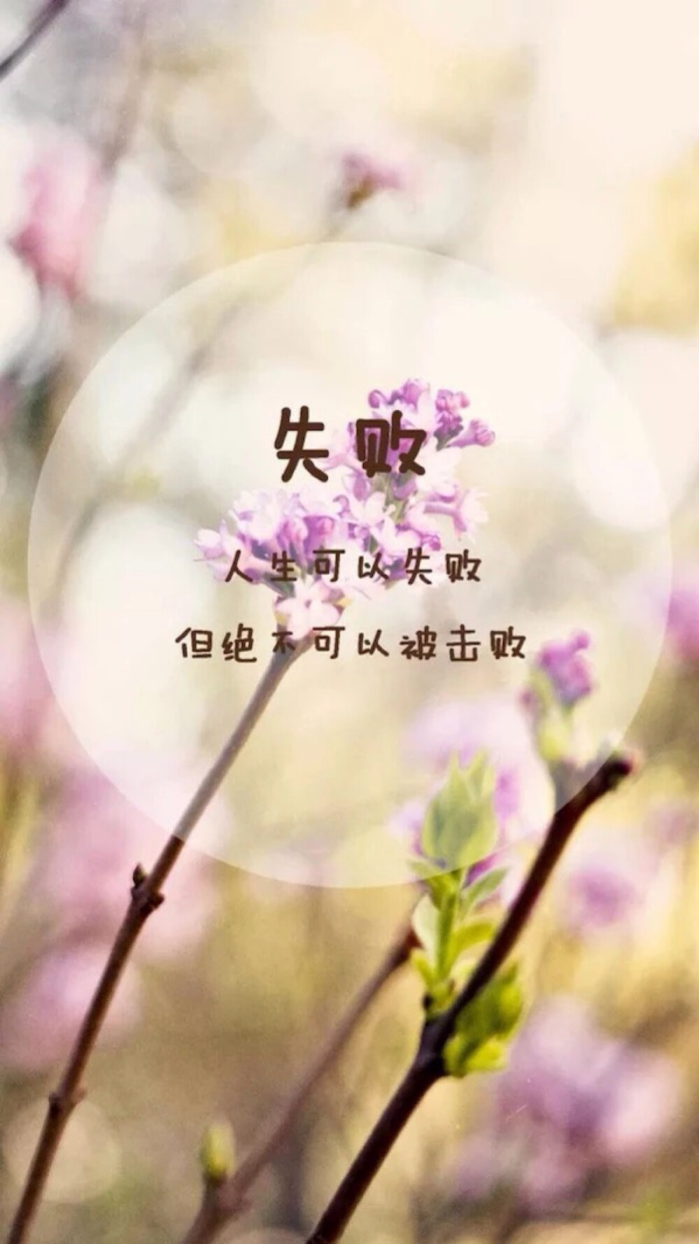 正能量网站入口直接进入不用下载app正能量网站入口，直接进入，无需下载，让生活充满阳光-第3张图片
