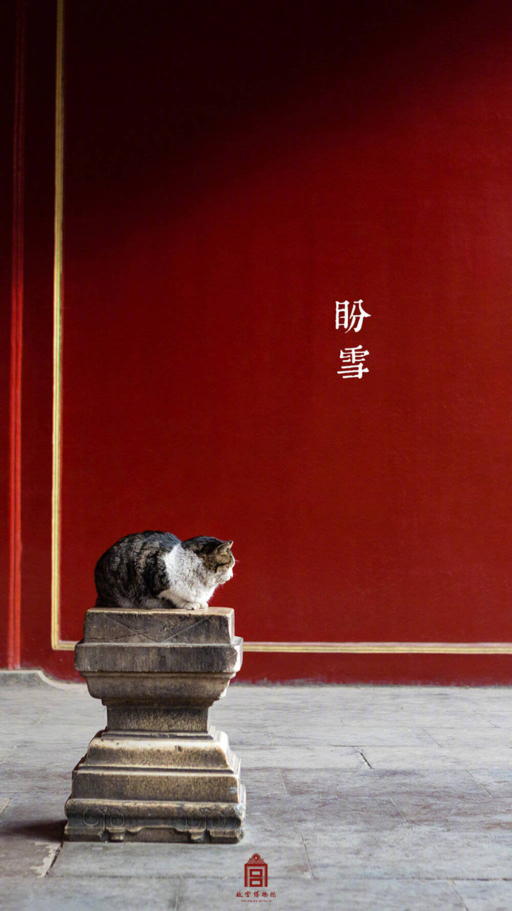 2021年最火怡红院的手机壁纸怡红院院，历史与文化的交织之地