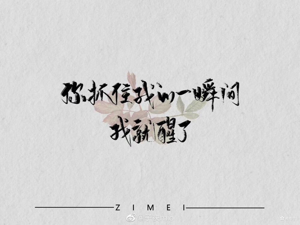 盛望盛望——璀璨人生的璀璨瞬间-第2张图片