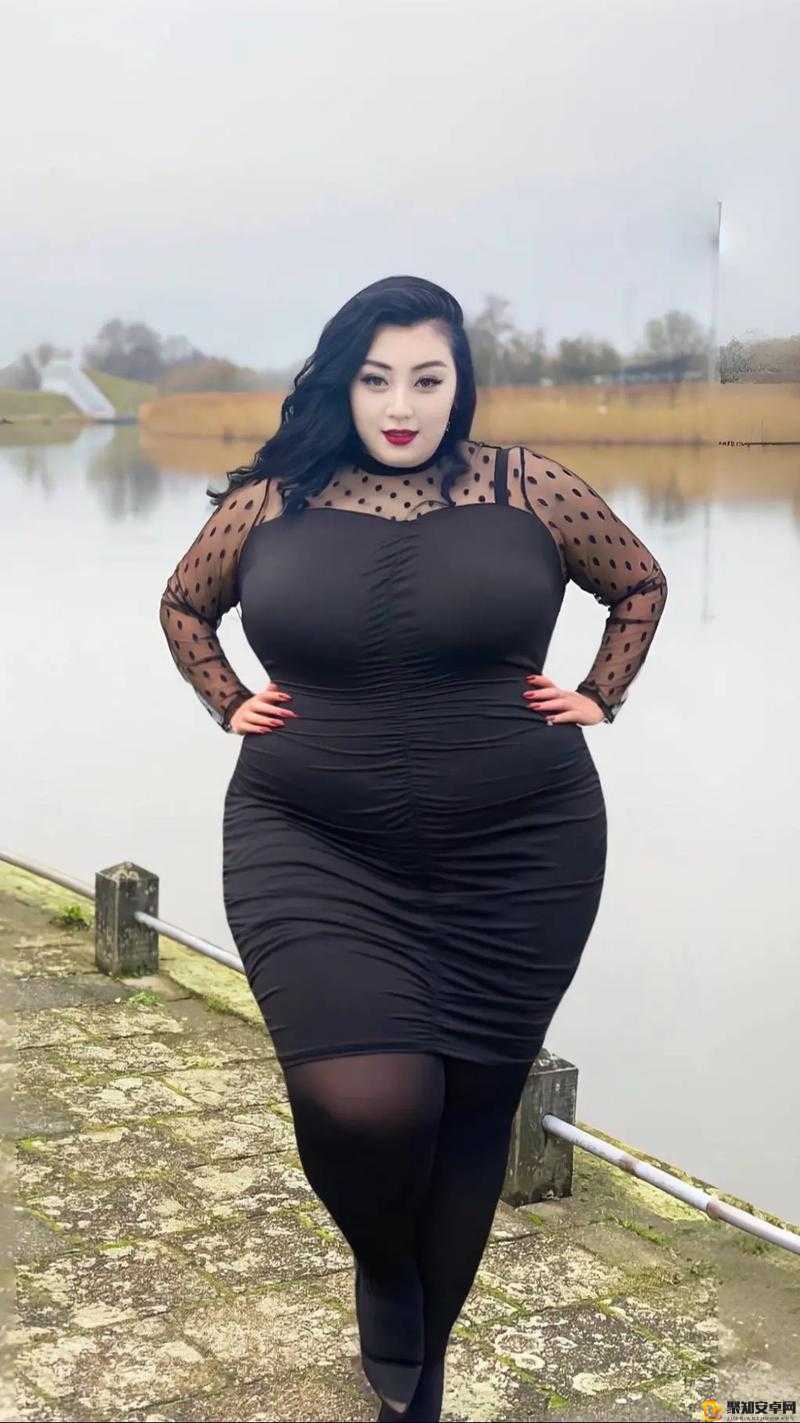 欧美bbww欧美BBWW，时尚潮流的交汇点