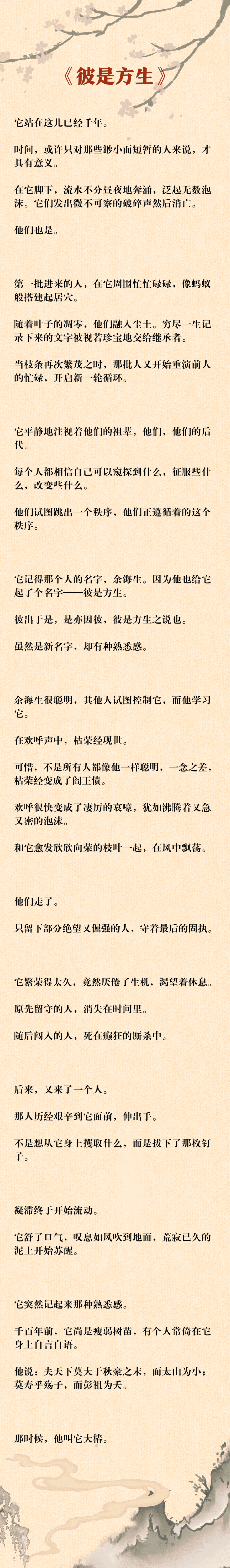 侠盗秘籍大全，揭秘江湖绝技与隐秘宝典