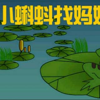 小蝌蚪视频ios最新章节小蝌蚪视频app无限观看体验，丝瓜ios与苏州晶体的魅力-第2张图片