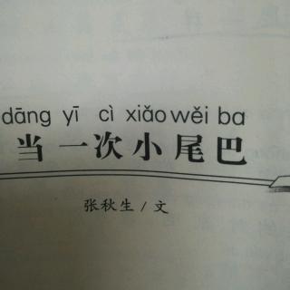 小尾巴玩具嵌入式视频小尾巴玩具与嵌入式视频的奇妙结合-第1张图片