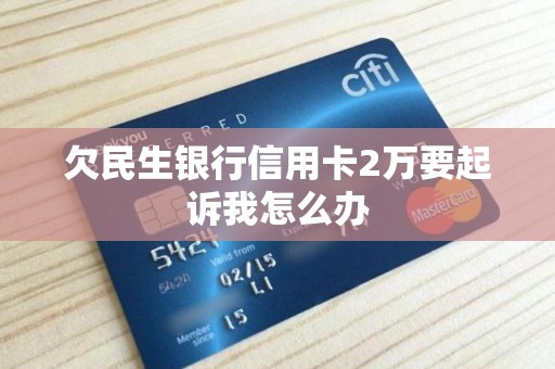 国产在线一卡二卡，便捷、高效与安全的新选择-第1张图片