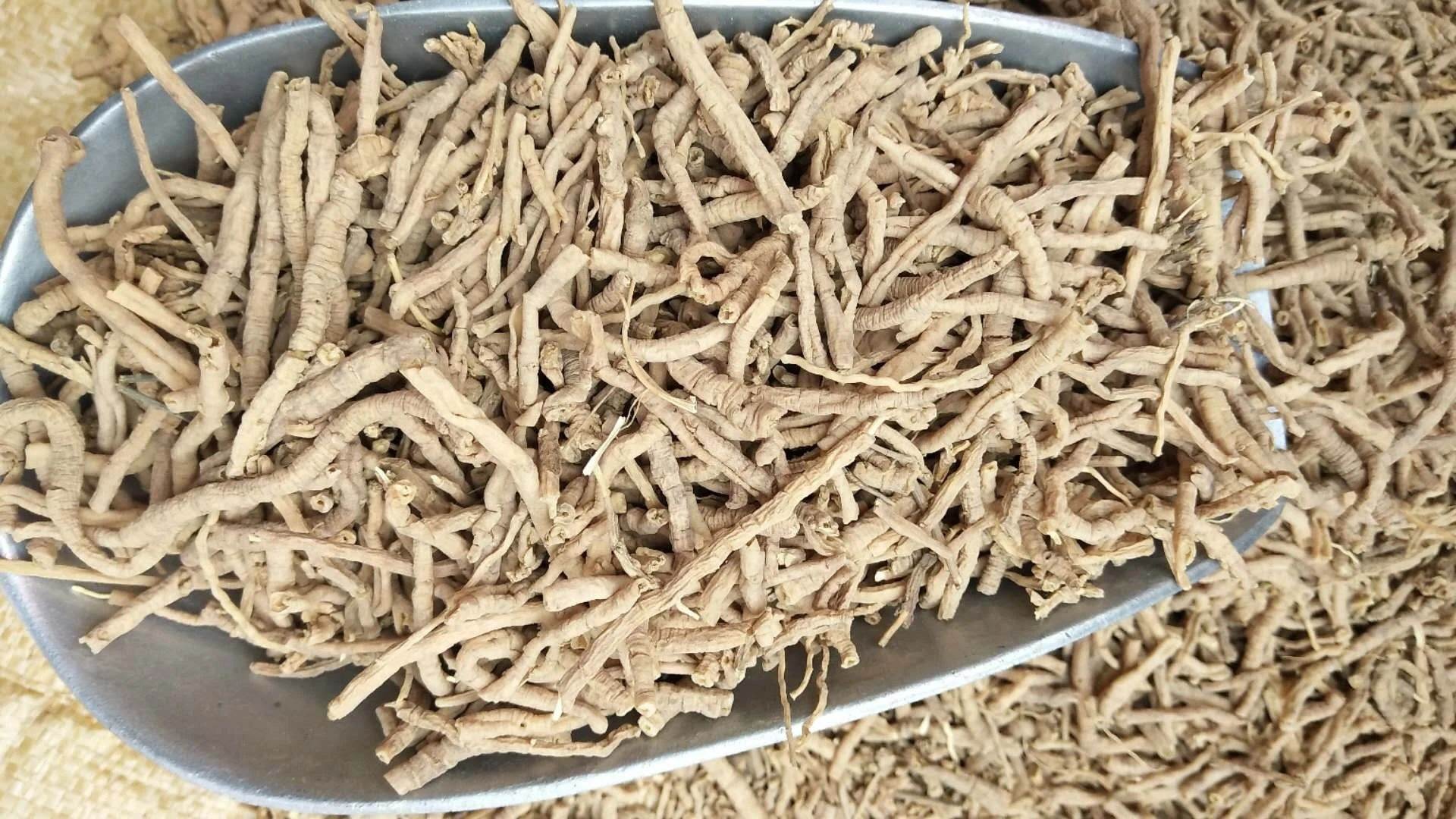 远志之明，深度解析与讲道视频的启示-第3张图片