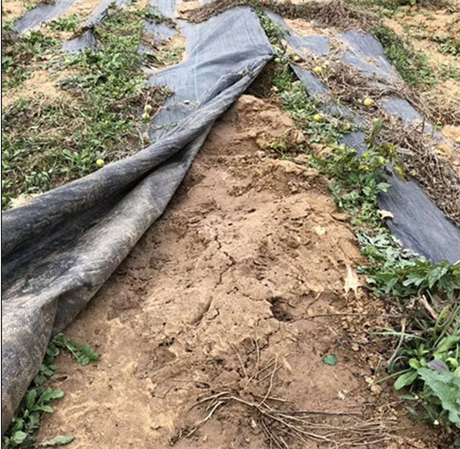 草草发地布邮箱草草最新发布，揭秘wy37地扯的魅力与价值