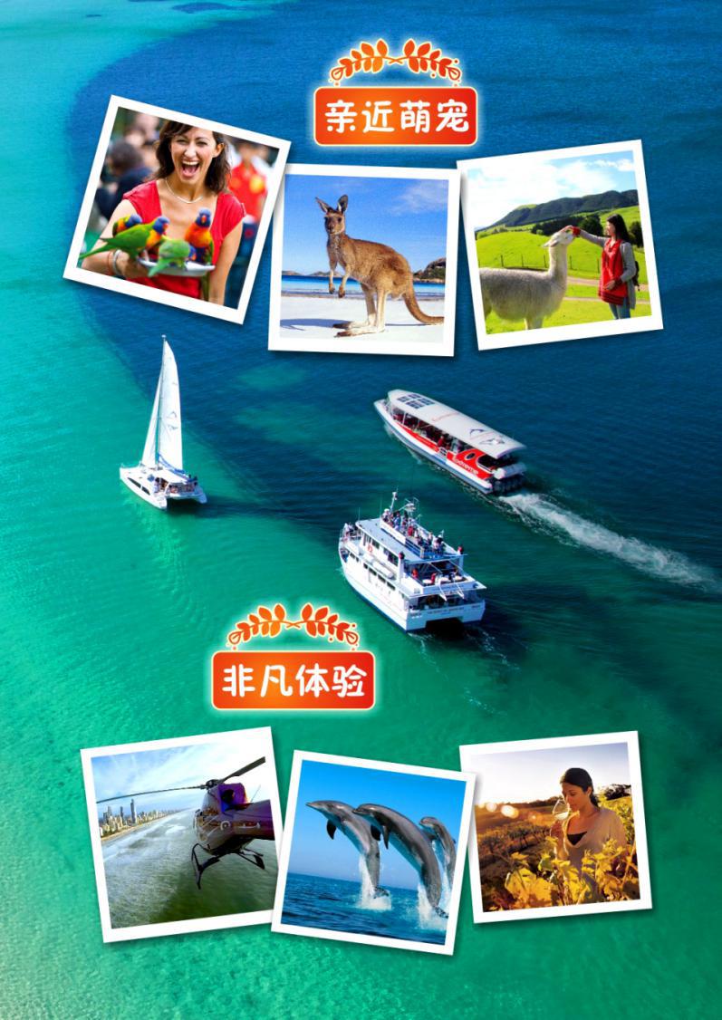中文字幕的影视乐园——中文天堂