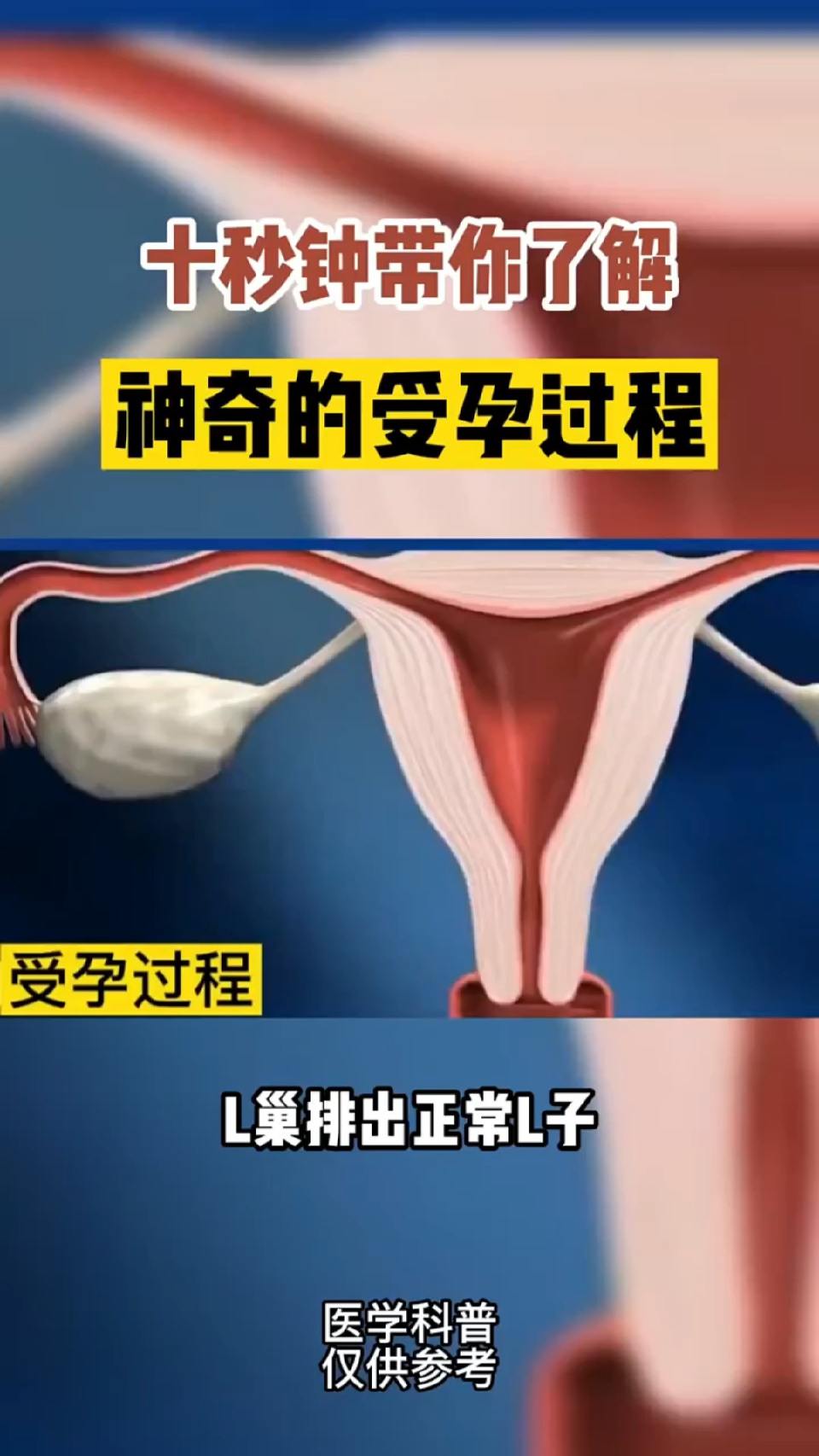 十分钟高清免费视频十分钟高清免费视频的魅力与探索