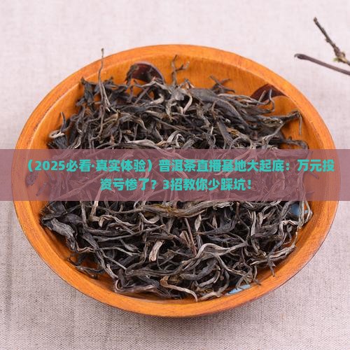 桃花直播下载，探索全新直播体验的旅程