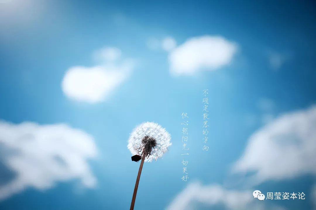 正能量网站入口直接进入不用下载app正能量网站入口，直接进入，无需下载，让生活充满阳光-第2张图片
