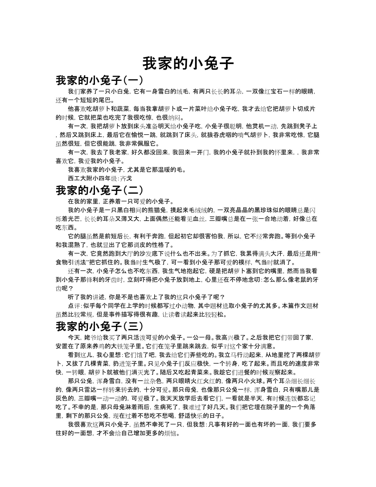 又大又软的同学妈妈小兔子作文同学妈妈的小兔子——又大又软的美好记忆-第2张图片