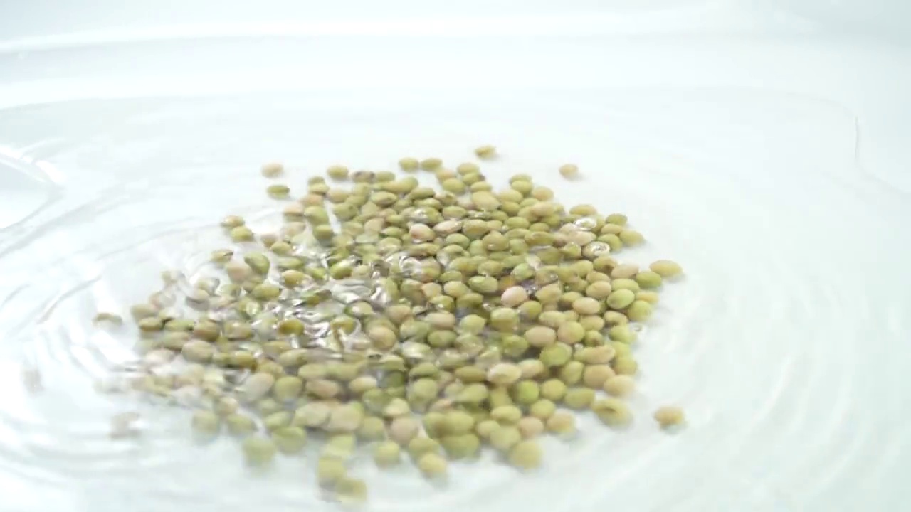 豆奶视频素材豆奶视频1.5.5的全面解析