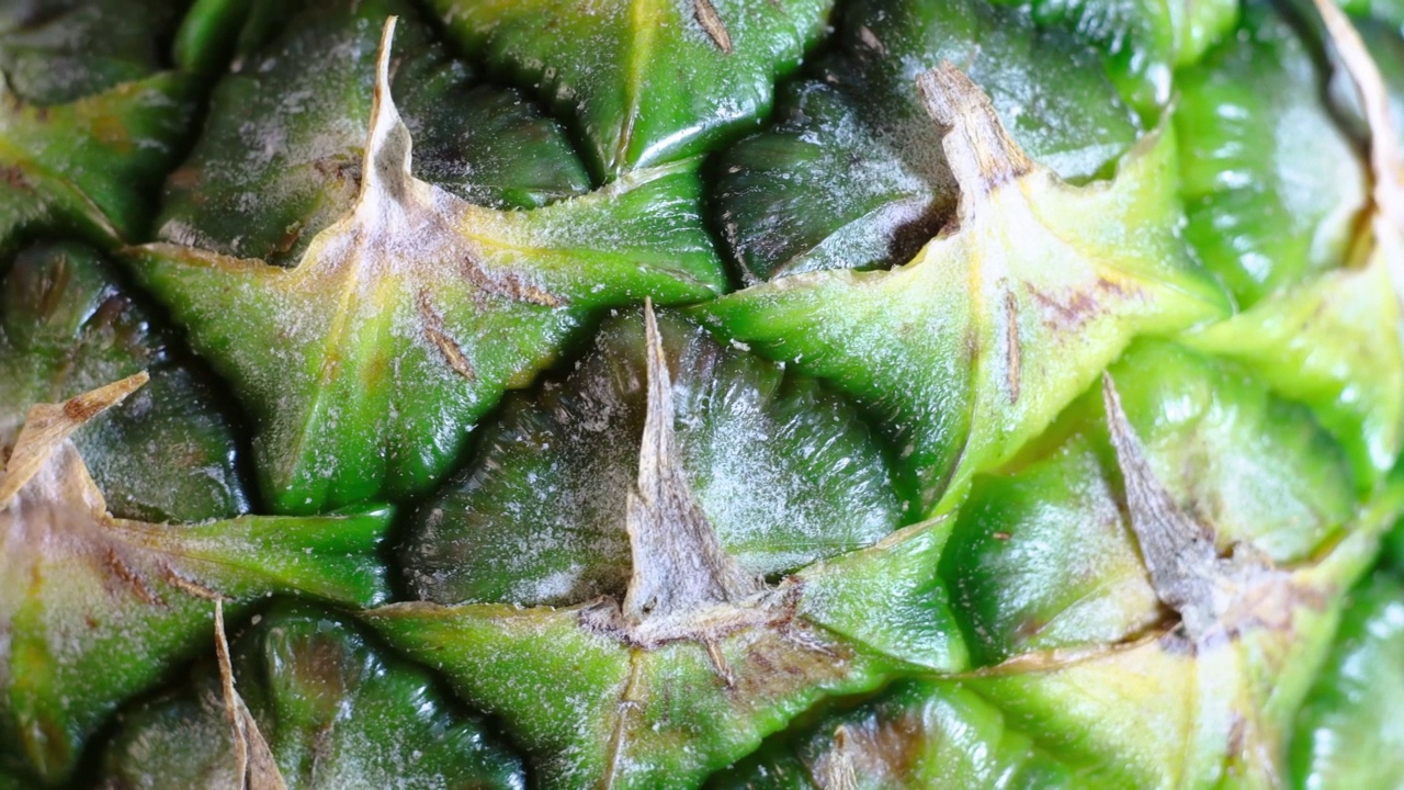菠萝视频高清视频播放器探索菠萝视频高清世界，7大亮点与体验