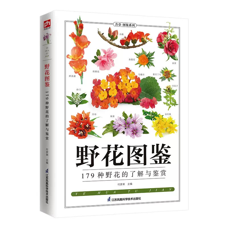 野花大全日本免费观看十野花大全——日本自然美景免费在线观赏指南-第2张图片