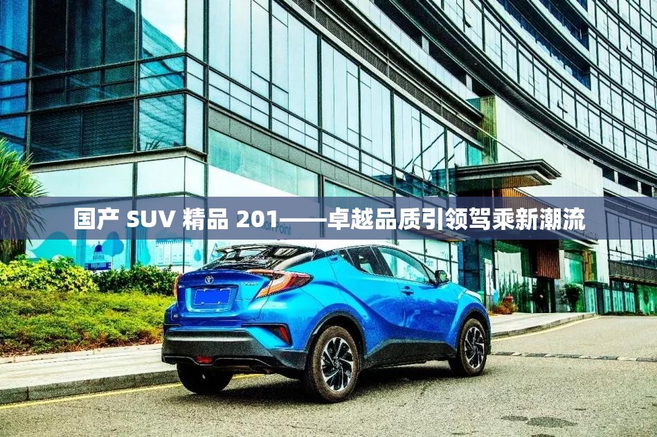 国产SUV精品，一区二区之卓越选择