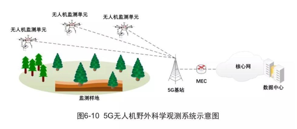 5G时代下的多人运动——在线下载的便捷与乐趣-第2张图片