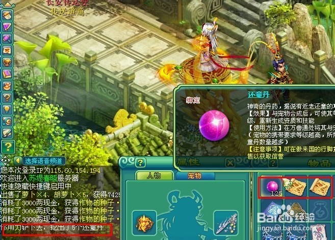 还童丹代码还童丹的获取之道-第2张图片