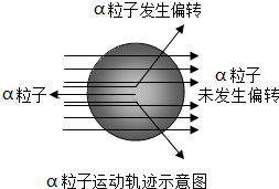 C的里面太满了C的里面太满了——探索空间与舒适度的平衡-第2张图片