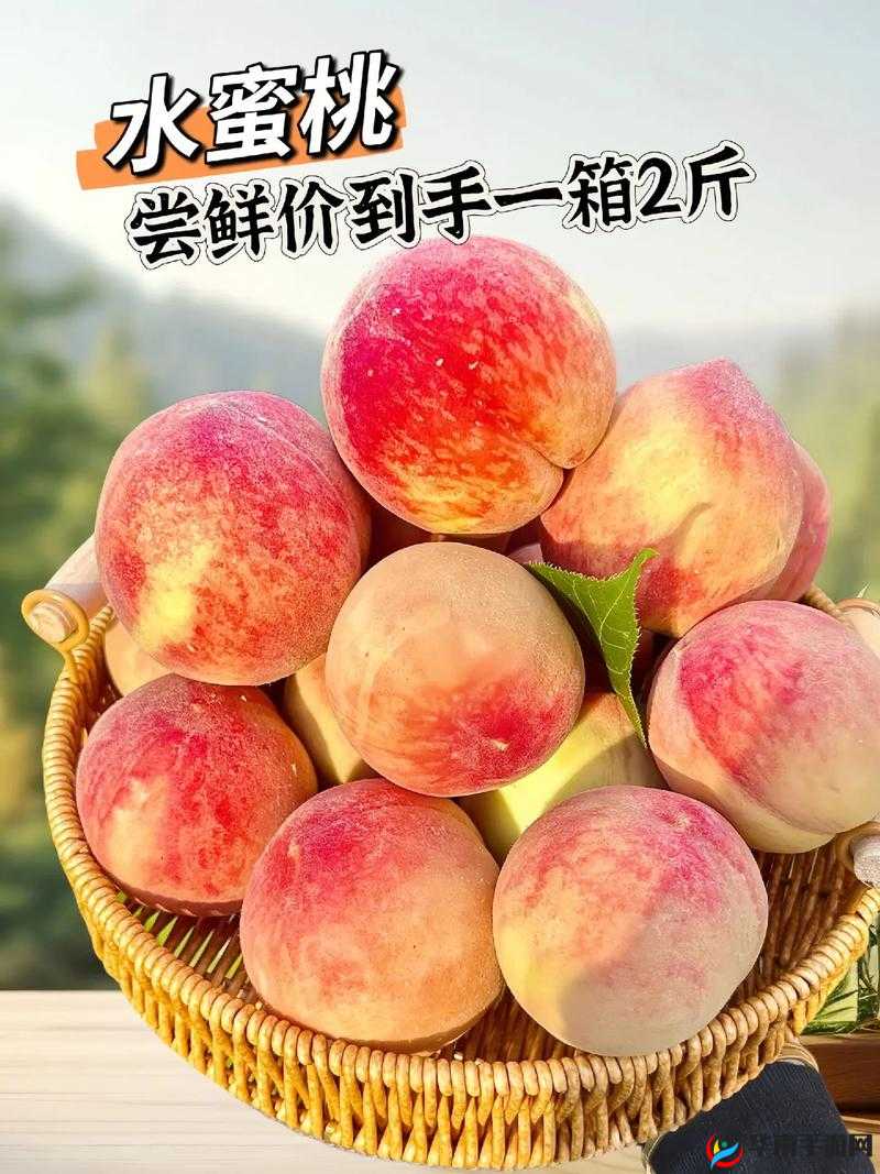 探索水蜜桃文化传媒的魅力与影响-第2张图片