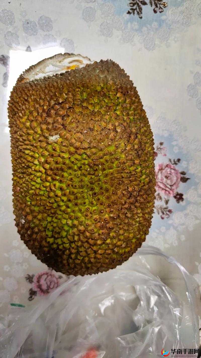 菠萝菠萝蜜免费高清在线视频2探索菠萝菠萝蜜的魅力，免费高清在线视频的观赏体验